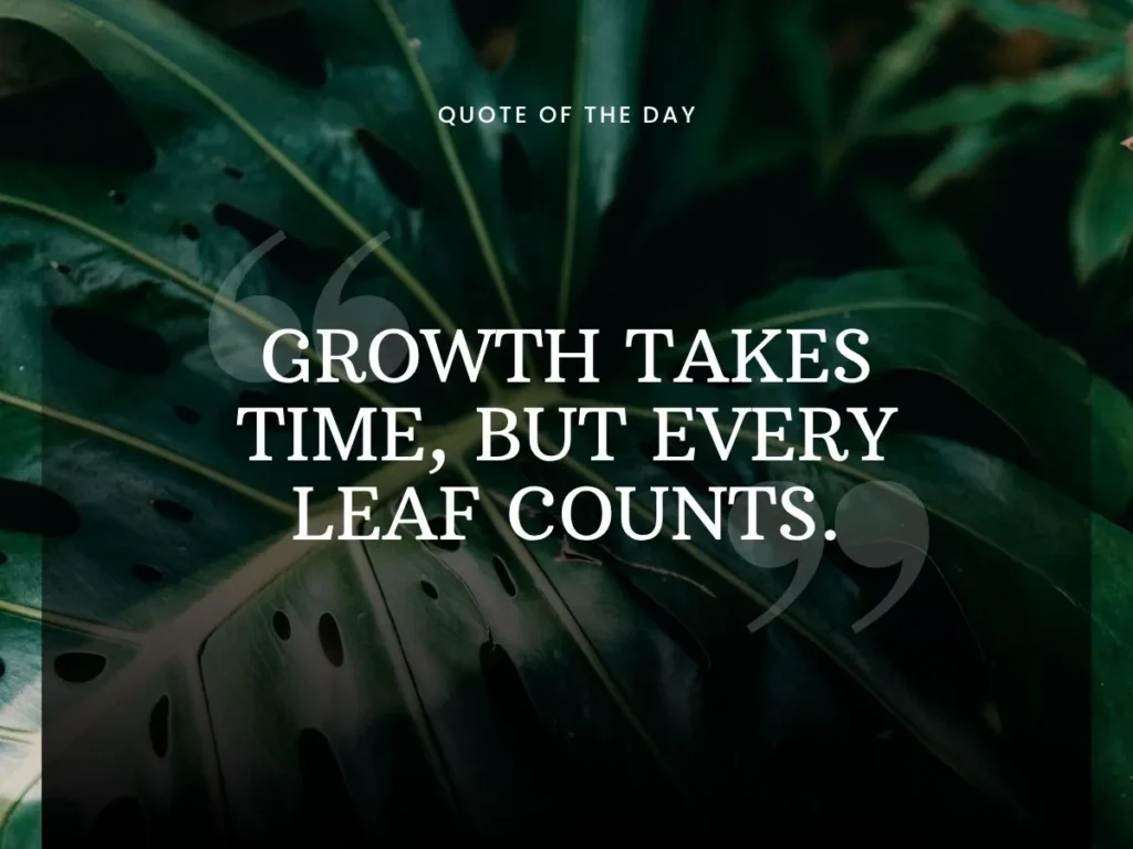Growing Every Day (Self-Growth Quotes)
