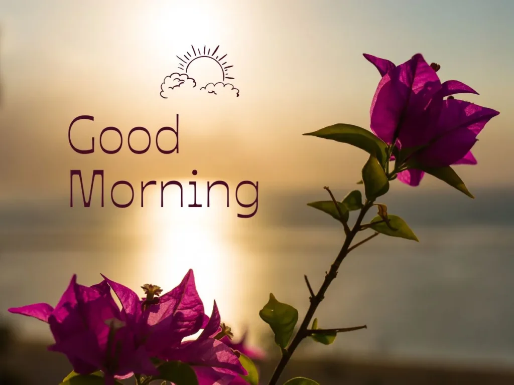 Morning Motivation to Keep Going