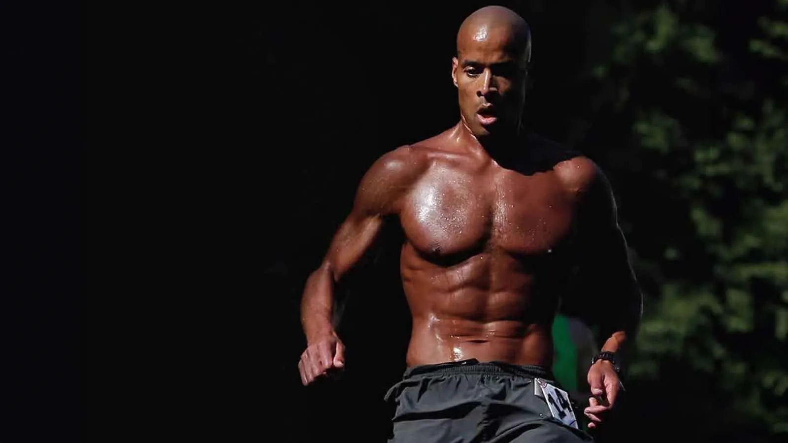 David Goggins Quotes